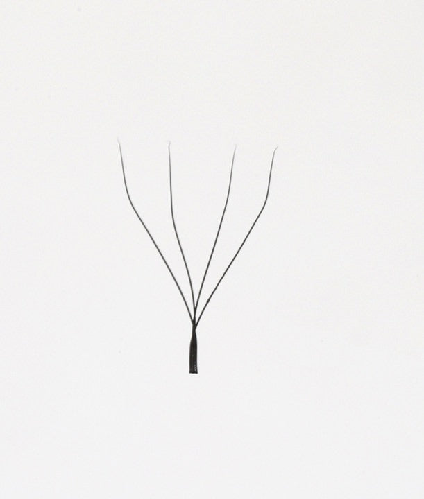 Fertig Fächer W Lashes XXL Box 5200Fächer