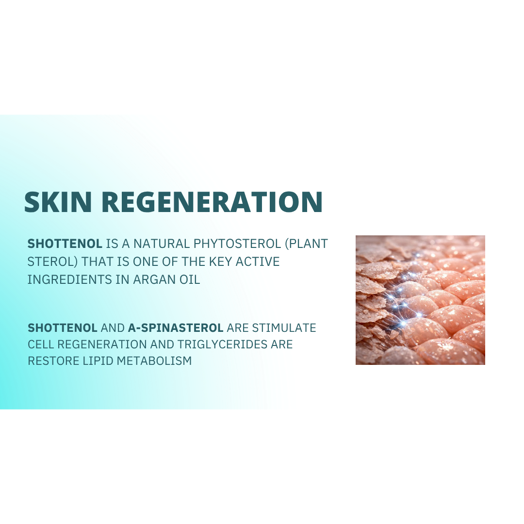 Èlan Skin Protector 2.0